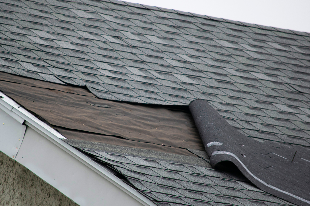 DIY Roof Repairs vs. Hiring a Professional: What You Need to Know